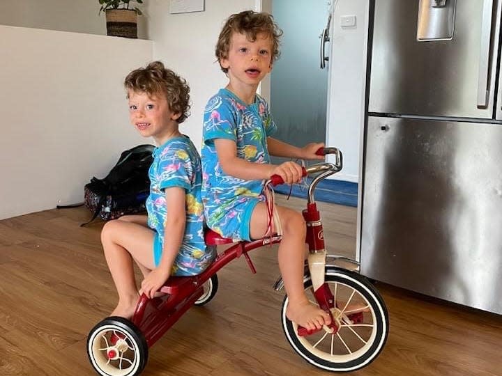 Twins playing on a tricycle