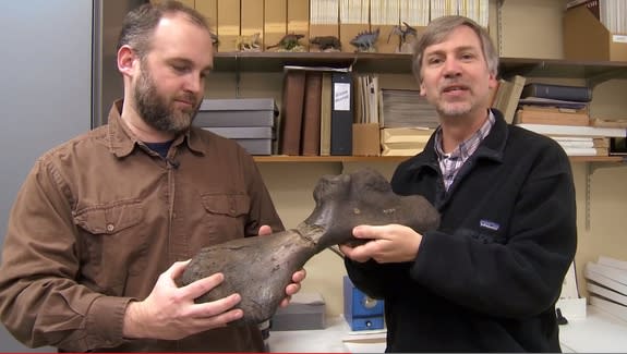 Jason Schein (left), the assistant natural history curator at the New Jersey State Museum, and Ted Daeschler, associate curator of vertebrate zoology at the Academy of Natural Sciences of Drexel University, hold two halves of the ancient sea tu