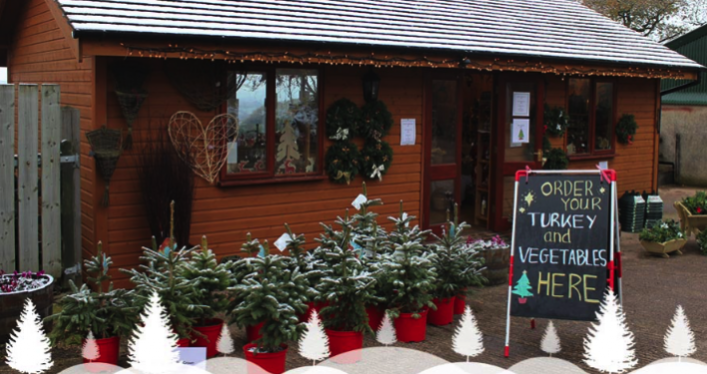 The adorable reindeer will go on display at Cotley Farm (Picture: Cotley Farm)