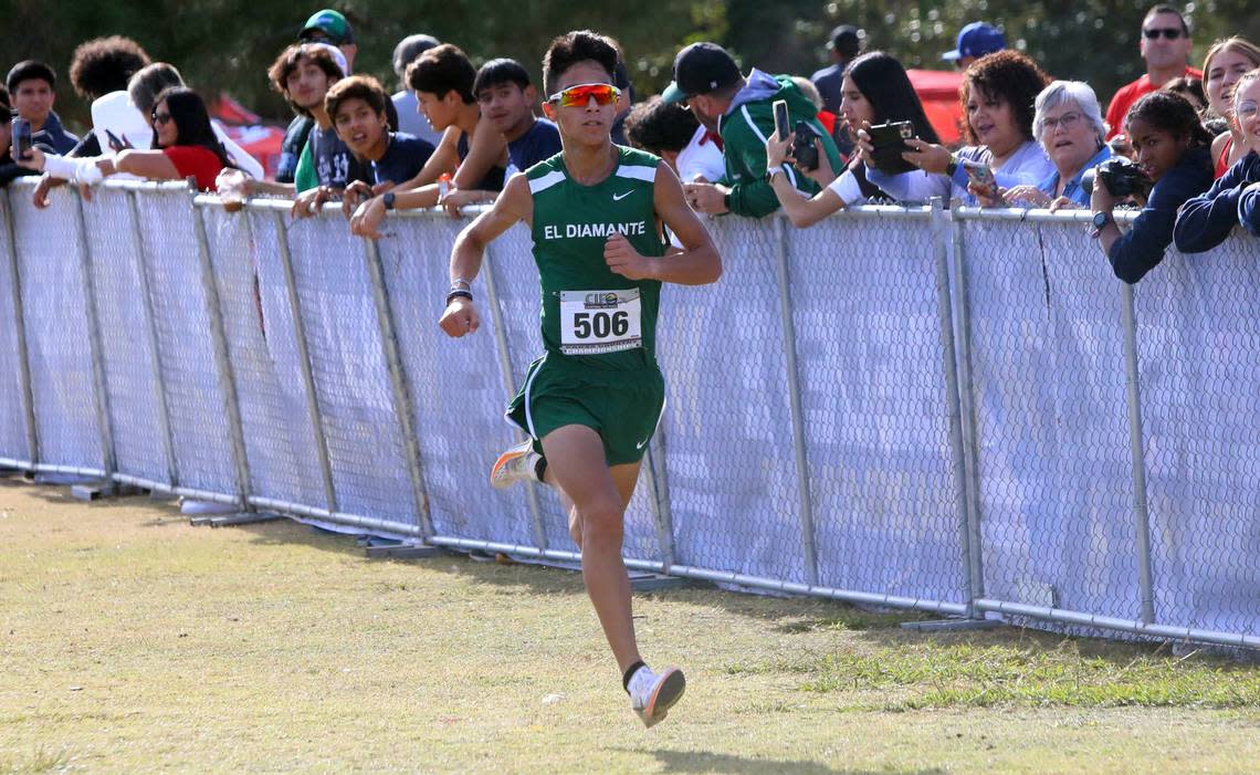 El Diamante senior Devin Ibarra won the Division II title in 15:49.61 at the CIF Central Section cross country championships at Woodward Park on Nov. 16, 2023.