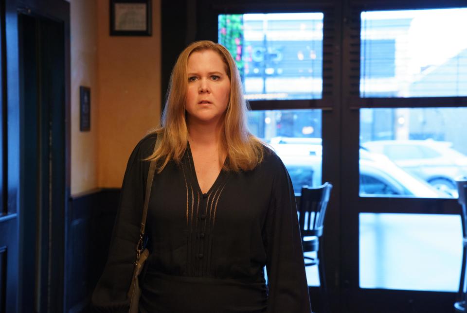 Amy Schumer takes inspiration from her own life for hew new Hulu series "Life & Beth."