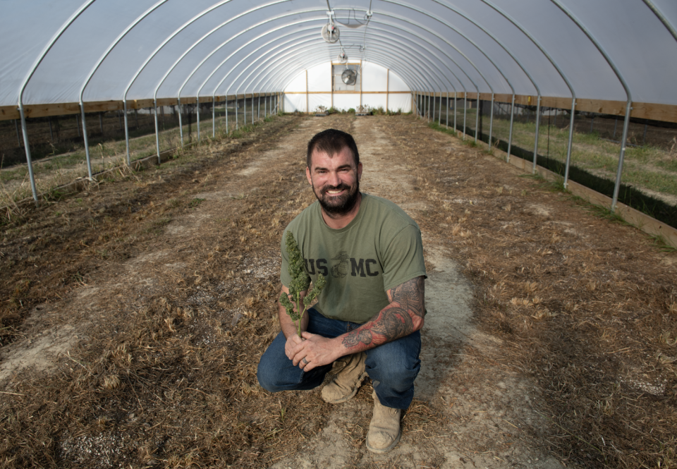 William Lane, a licensed hemp cultivator, holds a drying hemp plant inside one of eight greenhouses he uses to grow hemp for CBD oil on his farm in Palmyra Township. About half of the greenhouse space is used for hemp, while the remaining is for growing vegetables.