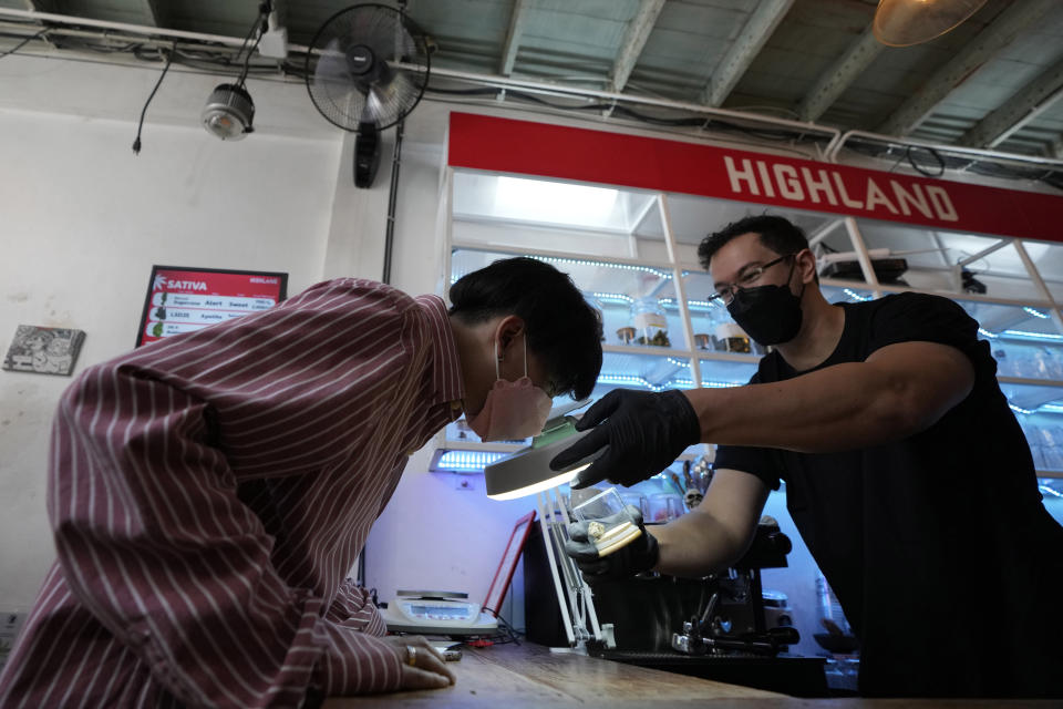 A customer views samples of marijuana before purchasing at the Highland Cafe in Bangkok, Thailand, Thursday, June 9, 2022. Measures to legalize cannabis became effective Thursday, paving the way for medical and personal use of all parts of cannabis plants, including flowers and seeds. (AP Photo/Sakchai Lalit)