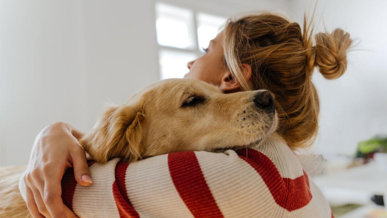  Person hugging dog. 