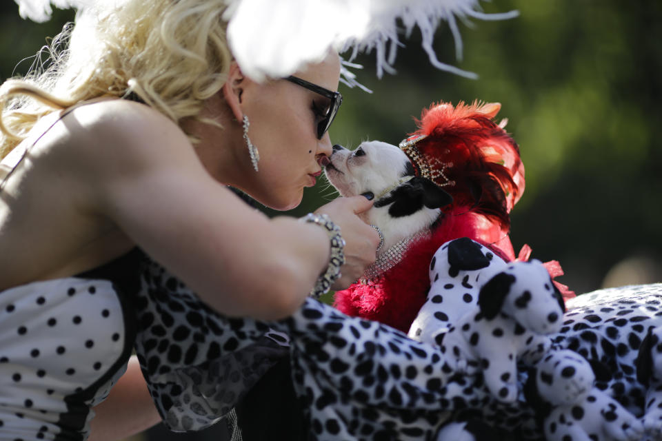 Costumed pooches prance In annual Halloween Dog Parade in New York City