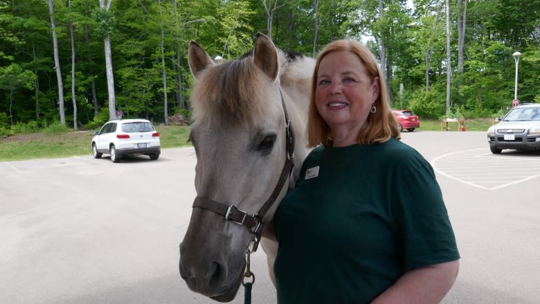 Billy the horse brings comfort to palliative care patients