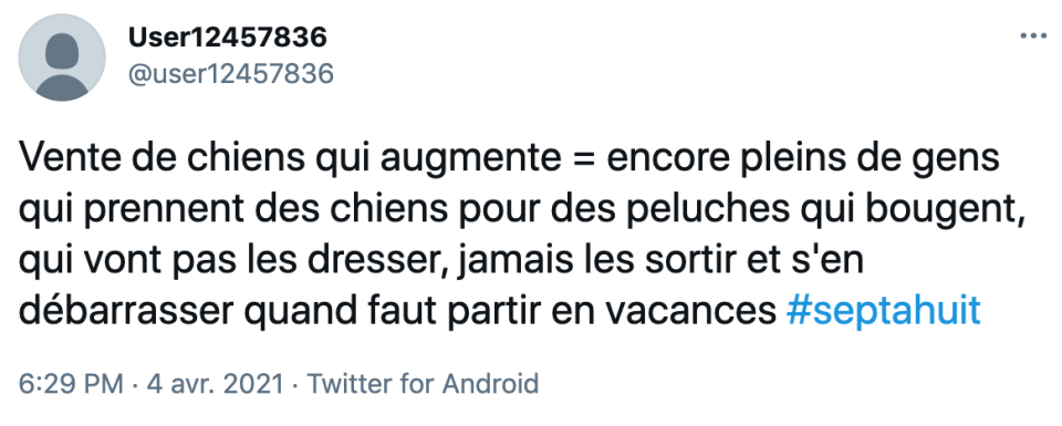 Un reportage sur les ventes de chiots pendant le confinement scandalise la Toile 