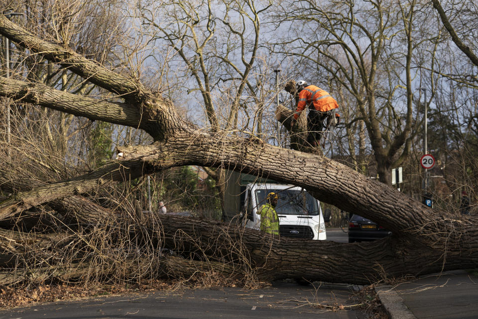 Tree surgeons work to clear a fallen tree in Spencer Park, Battersea, south west London. (PA)