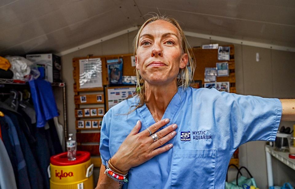 Sarah Callan, manager of Mystic Aquarium's Animal Rescue Program, fields reports about stranded and injured marine animals over a 1,000-mile area of Northeastern coastline, including all of Rhode Island.