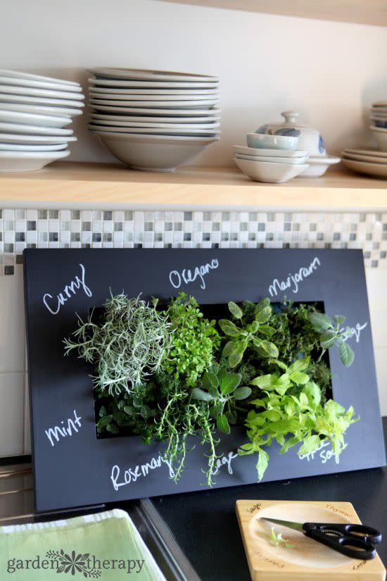 herb garden ideas chalkboard frame