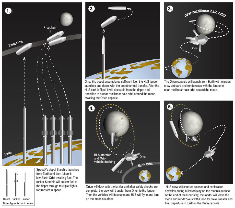 An artist's impression of the SpaceX Human Landing System moon lander on the lunar surface. / Credit: GAO