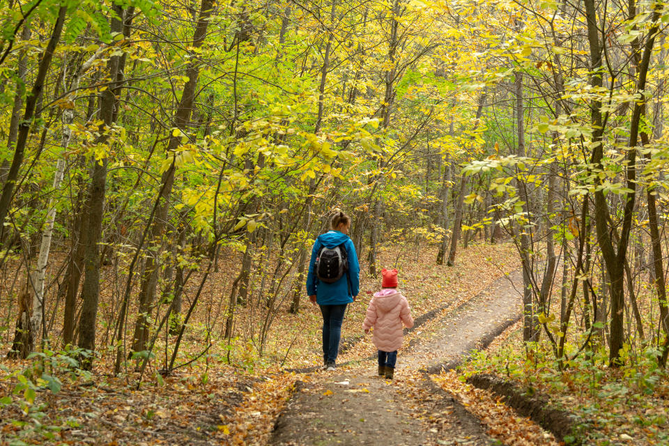 Mother and daughter are walking in the autumn forest