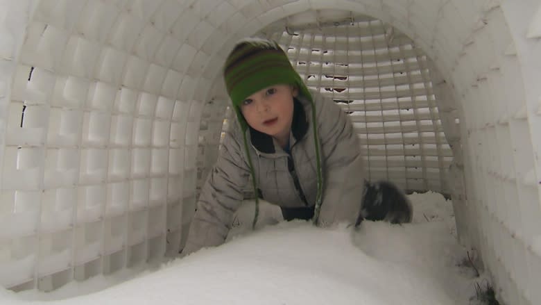 Montreal father makes backyard igloo that won't collapse