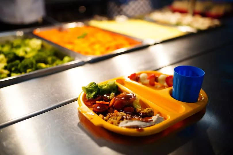School meals branded 'absolutely shocking' as kids 'come home hungry' -Credit:Ben Birchall/PA Wire
