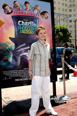 Freddie Highmore at the LA premiere of Warner Bros. Pictures' Charlie and the Chocolate Factory