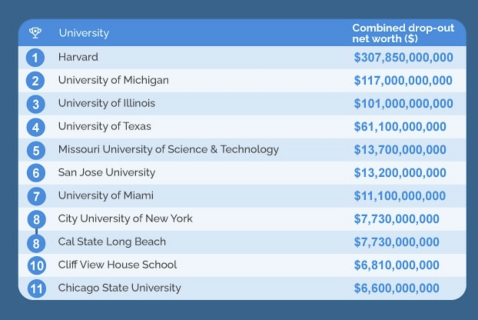 Graphic showing universities that account for the most valuable dropouts. (Source: edubirdie.com)