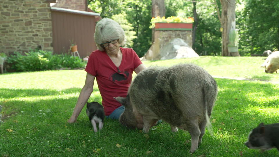 Susan Magidson, who runs Ross Mill Farm, a potbelly pig sanctuary in Pennsylvania. / Credit: CBS News