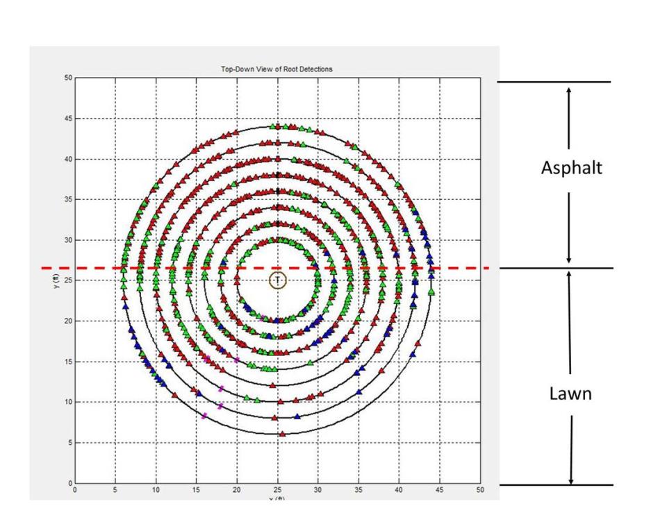 Another view of a root scan of a tree, performed by Fulgham Inc. tree specialists.