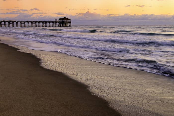 Beachside view of ocean