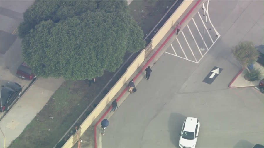 Several protesters taken into custody after blocking lanes near LAX 