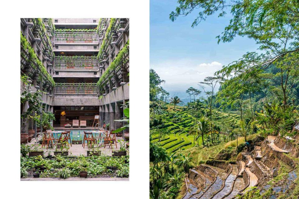 <p>From left: Terence Carter; Courtesy of Aman</p> From left: The atrium at Greenhost Boutique Hotel; the rice terraces surrounding Selogriyo, a small Hindu temple between Jogja and Semarang.