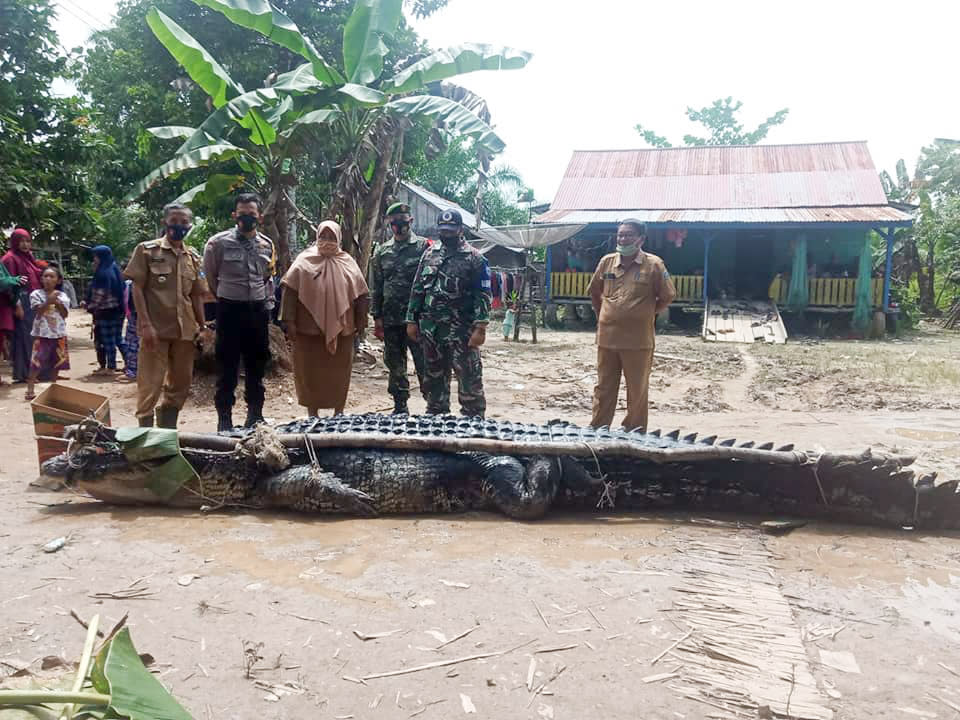 Villagers with the 680kg crocodile after it was caught. Source: Viral Press/Australscope