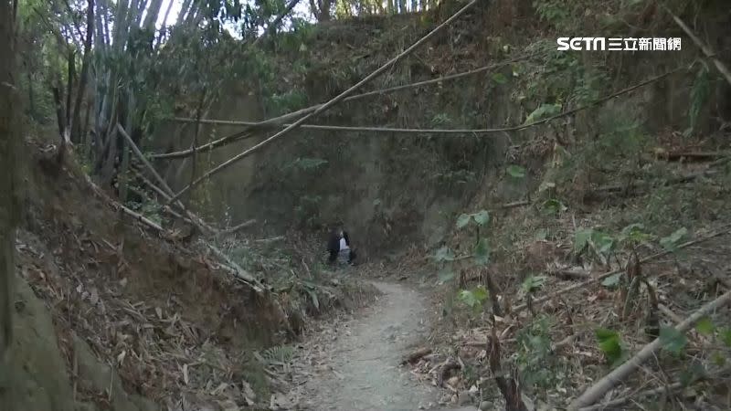 一線天步道地點隱密，茂密的樹林、幽靜的環境深受喜愛。