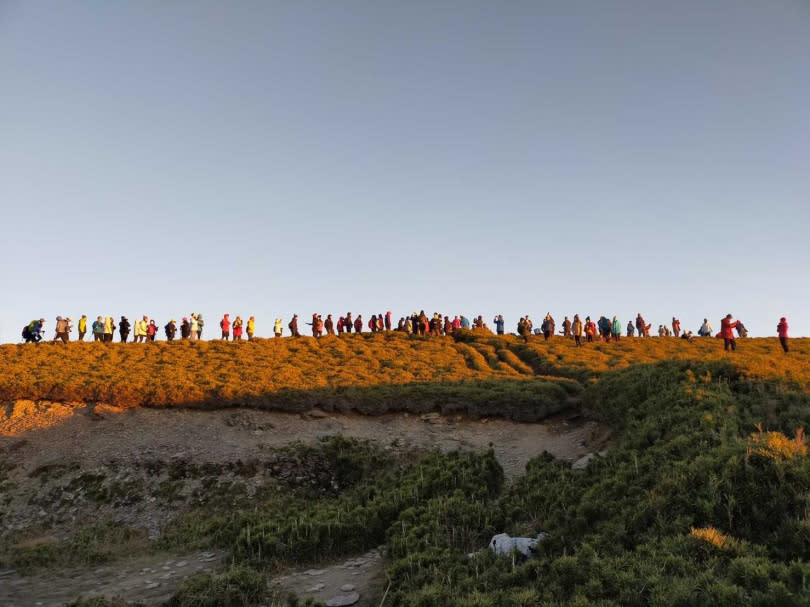 近年來登山活動盛行，根據林務局統計，光是今年相關登山器材商機就高達百億。（圖／讀者提供）