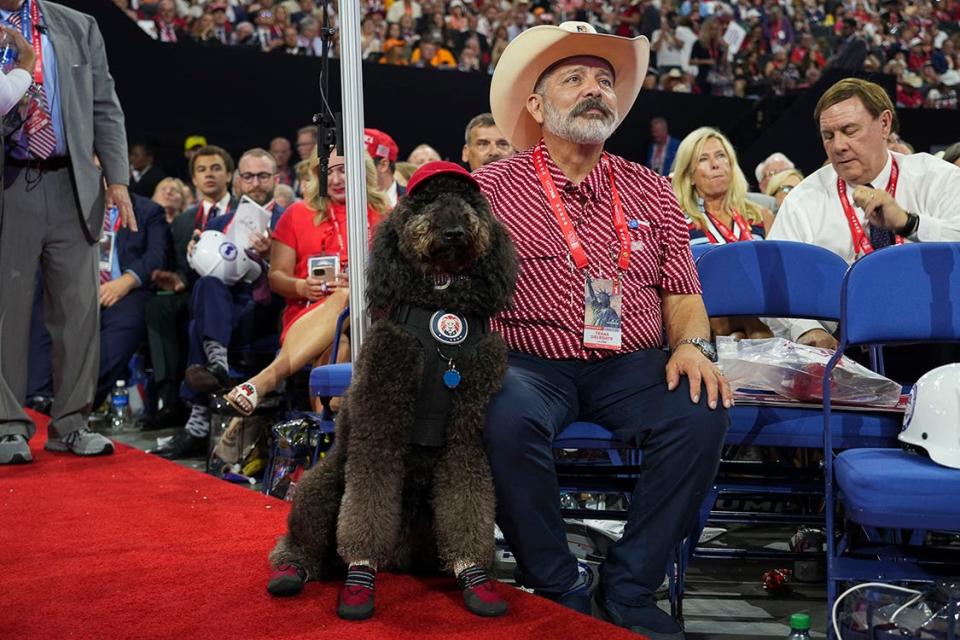 Texas delegate Alberto Herrera attends the first day of the Republican National Convention with his dog Tzeitel. The RNC kicked off the first day of the convention with the roll call vote of the states.