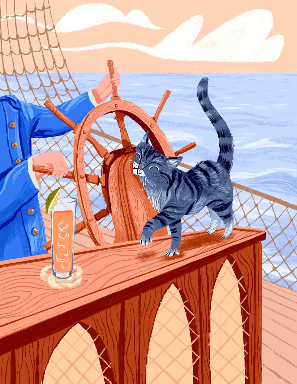 Rae Ritchie illustrated "Cocktails and My Cat" by Natalie Bovis.