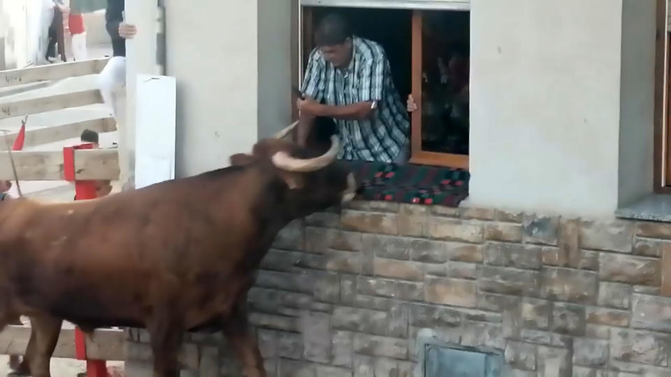 A man trying to stop the animal coming into the house. (CEN)