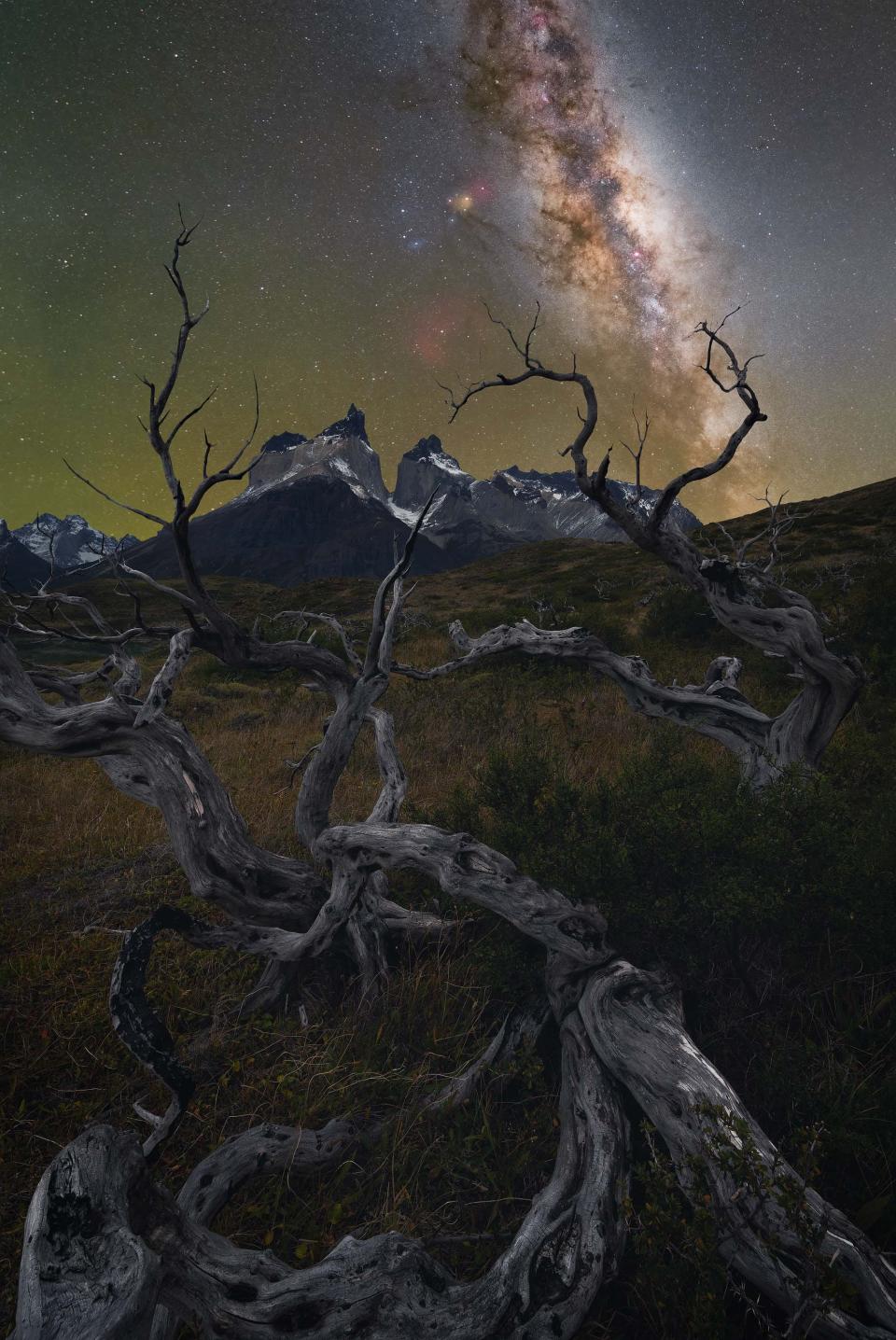 A Sky Full of Stars by Patagonia by Burak Esenbey