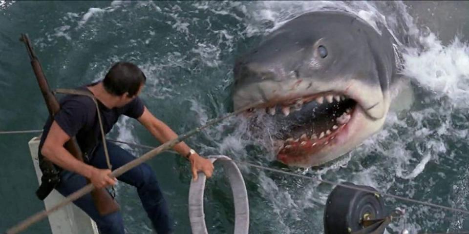 Roy Scheider in Jaws