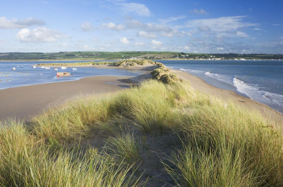 Best beaches in UK - Braunton Burrows, Devon