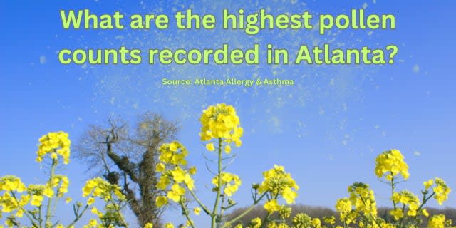 Atlanta Allergy & Asthma has been measuring pollen count for 35 years. Here are the highest pollen counts the group has recorded.