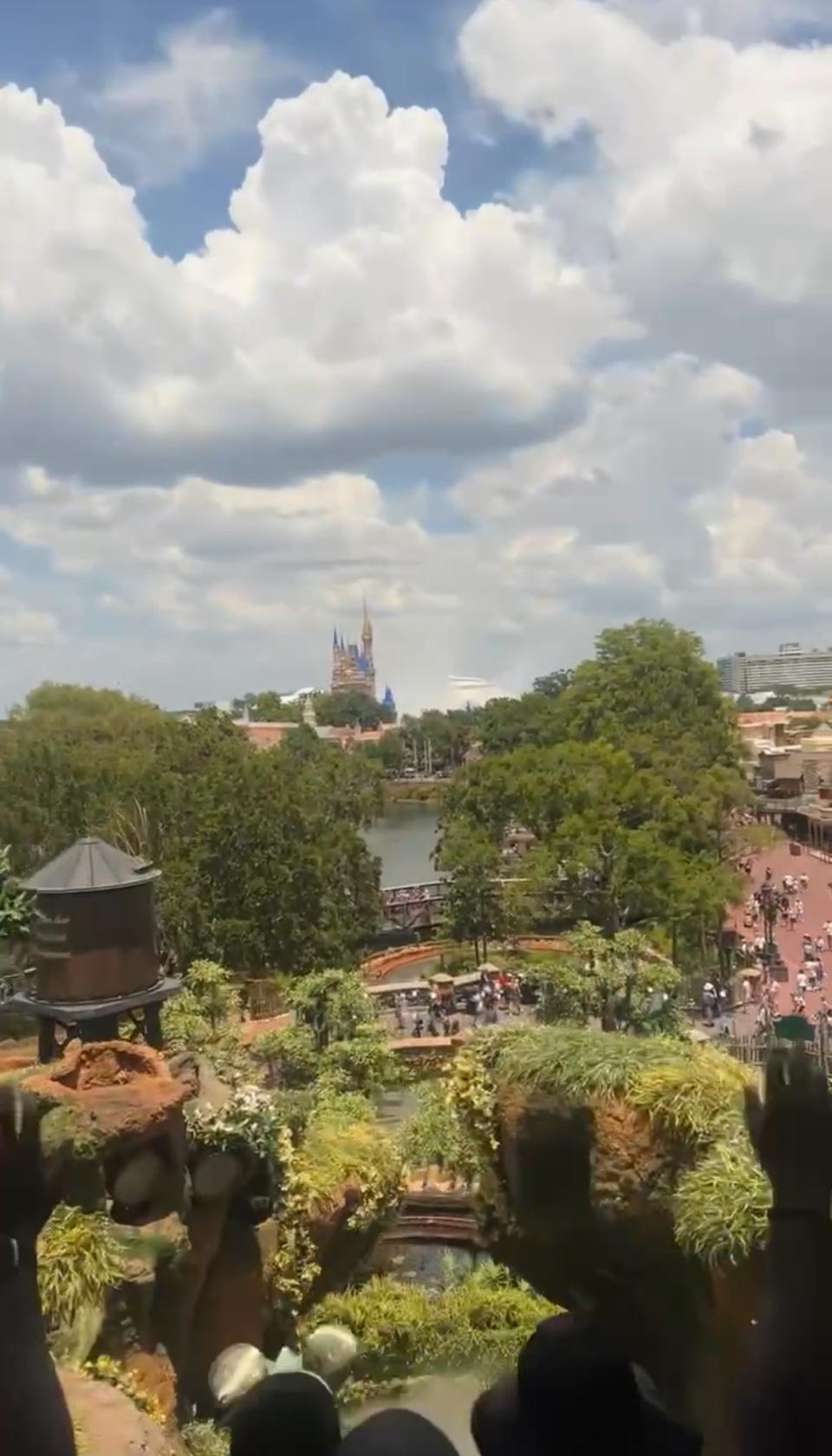 Wide view of a theme park with a river, greenery, and people walking; the distant castle suggests a Disney park