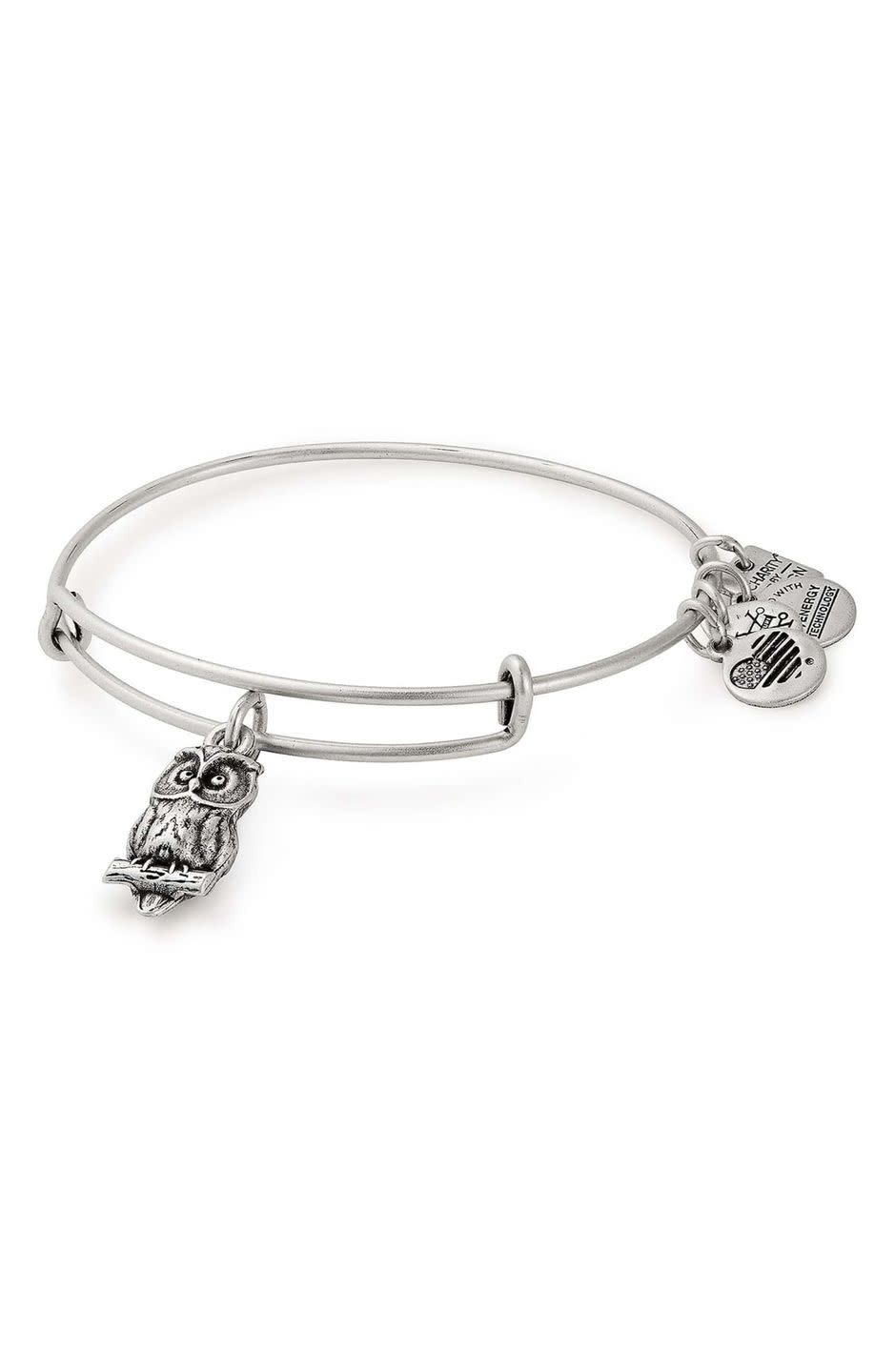 Alex and Ani Charity by Design Owl Charm Bracelet