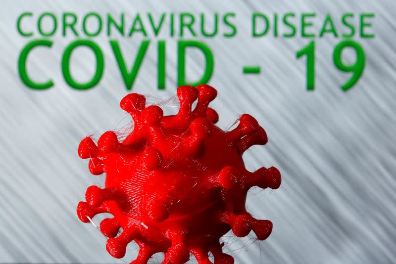 FILE PHOTO: A 3D-printed coronavirus model is seen in front of the words coronavirus disease (COVID-19) on display in this illustration