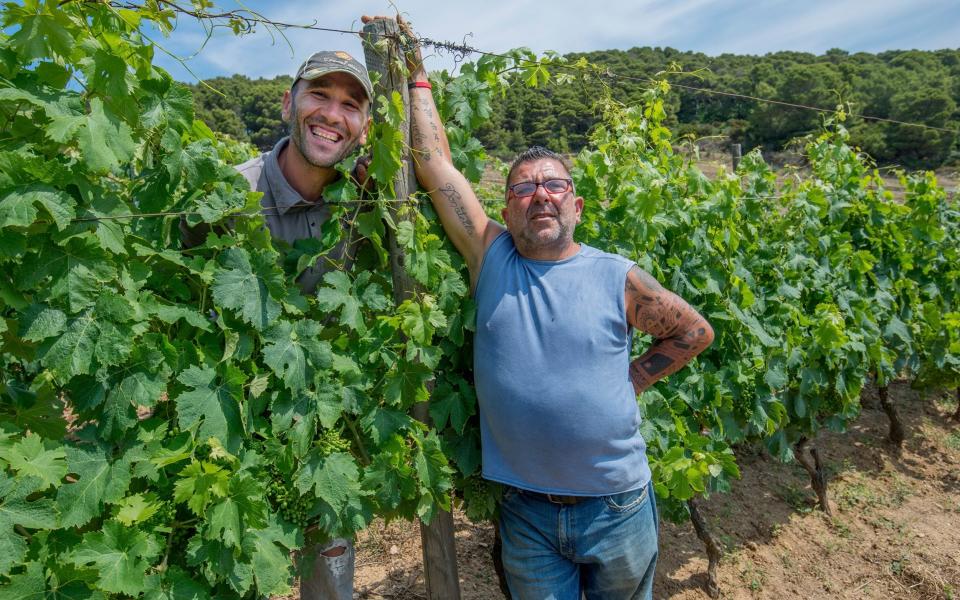 Prisoners cultivate a vineyard on the island and produce white wine  - Nick Cornish