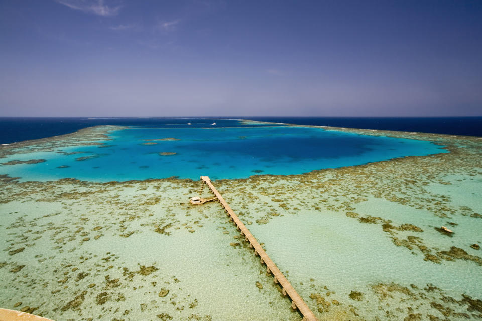 This entry includes <a href="http://whc.unesco.org/en/list/262" target="_blank">two separate sites</a>: Sanganeb, an isolated and vibrant coral reef in the central Red Sea, and the area including Mukkawar Island and Dungonab Bay. Seabirds, marine mammals, turtles and sharks call this protected area home.