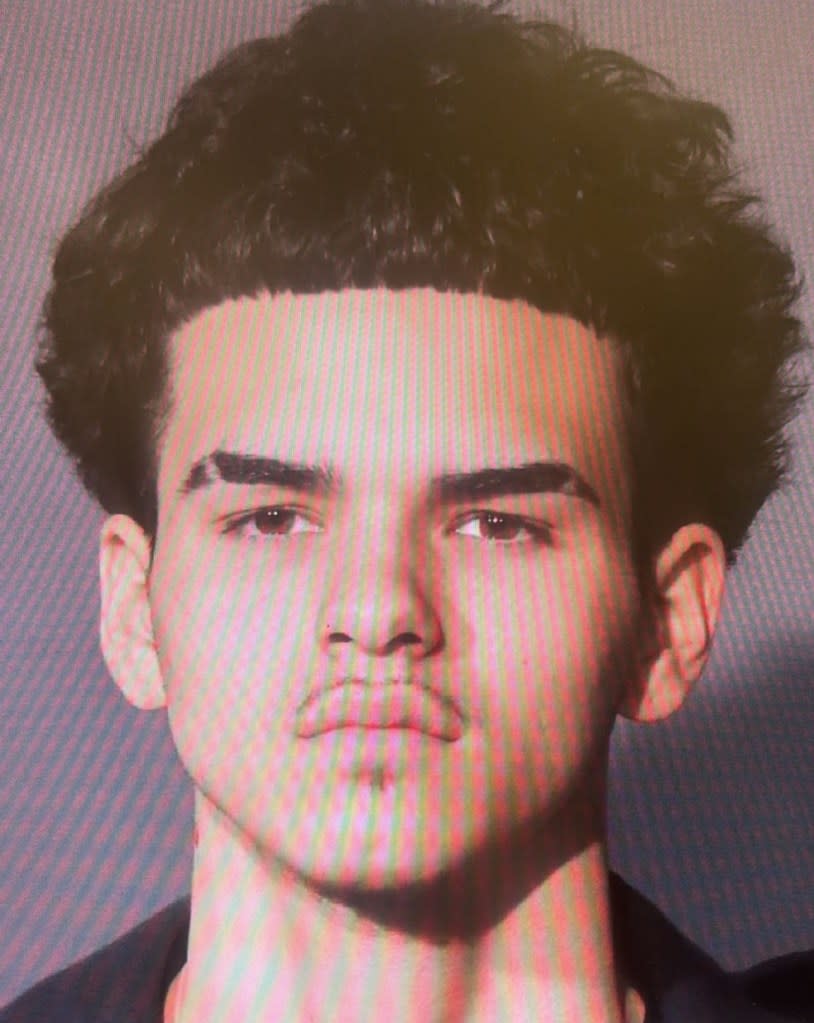 Alleged dog-shooter Joshua Marte, 18, reportedly said, “I didn’t mean to hurt anybody.”