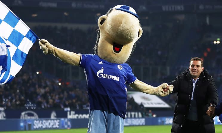 Schalke-Coach Markus Weinzierl bekommt namhafte Verstärkung (Foto_ Getty Images)