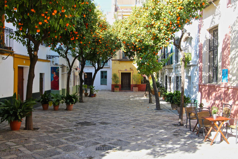A corner of Barrio Santa Cruz in Seville, with its typical orange trees.