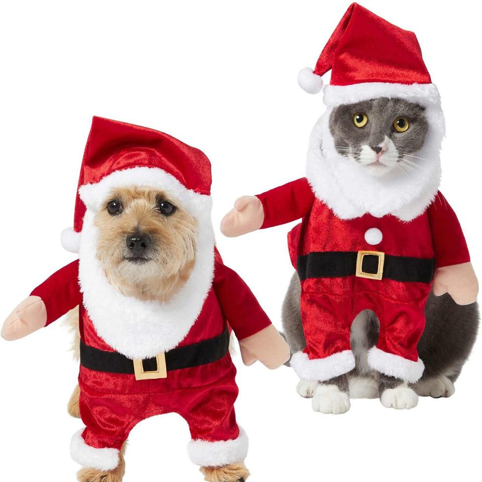 Dog and cat wearing a Front Walking Santa Cat Costume