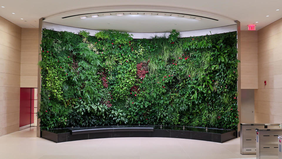 A living wall in the lobby of 7 Bryant Park, in New York City. / Credit: Plant Wall Design