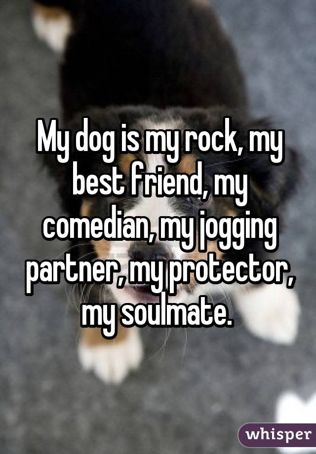 My dog is my rock, my best friend, my comedian, my jogging partner, my protector, my soulmate. 