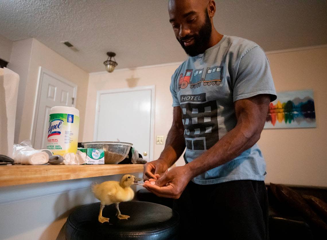 Tyler Allen feeds his two-week-old pet duckling at his home in Raleigh, N.C. on Thursday, Oct. 13, 2022.