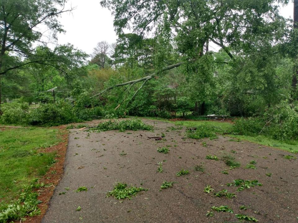 A large tree was downed on Meadow Hill Road in Jackson during an April 9 storm and was still blocking the road the following day.