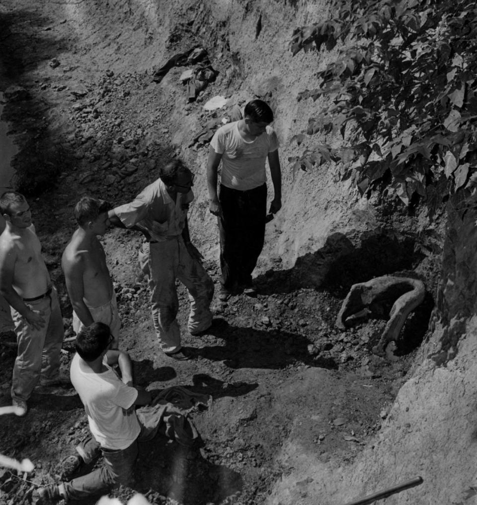 AUGUST 20, 1960: Workers Gather Around Site of Major Find...where ancient mastodon jawbone was unearthed at Big Bone Lick.