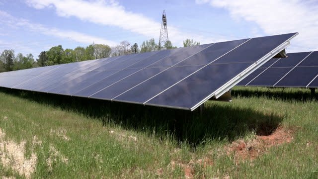 Multiple solar panels basking in the sun.